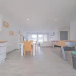 Le Trianon - Parking Prive Appartement *