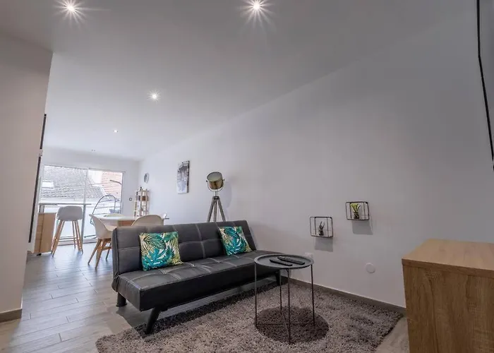 Le Trianon - Parking Privé Appartamento Reims